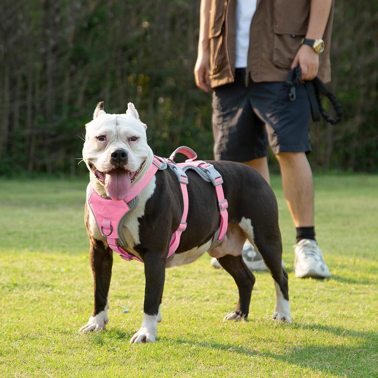 Thumbnail 6 de Huntboo escape proof harness S Pink
