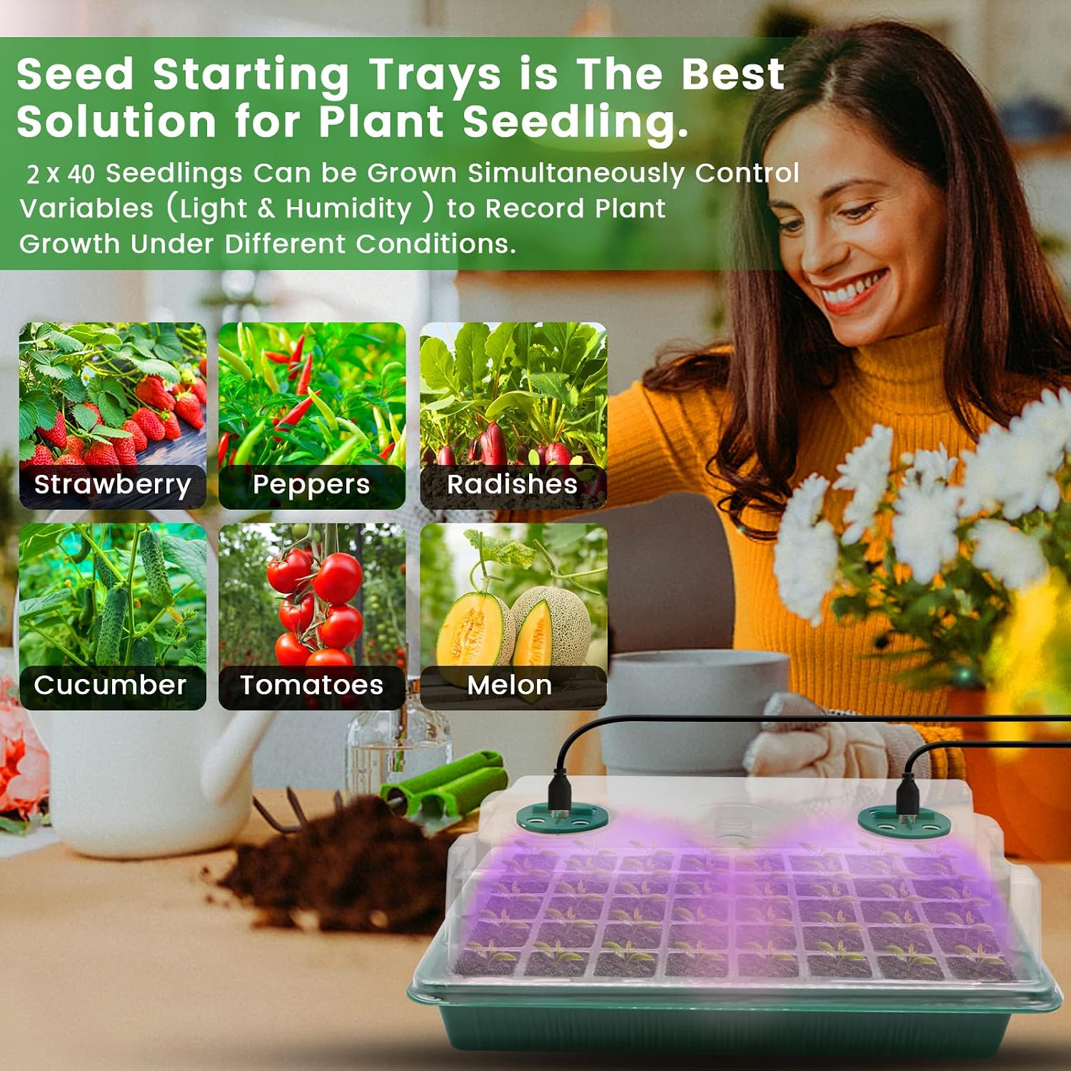 Detalle 2 de Seed trays with grow light, 2m timer controller