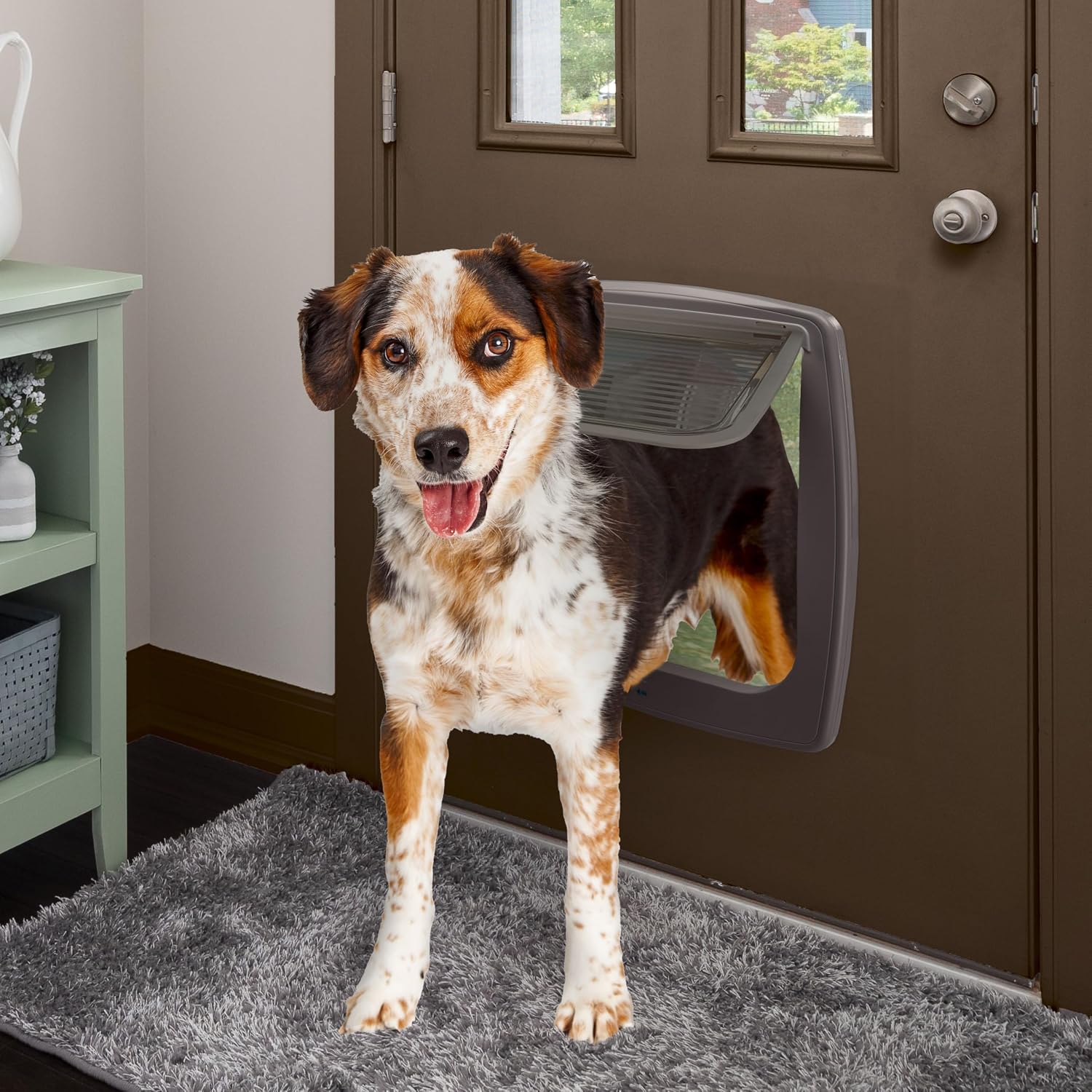 Detalle de Ferplast SWING 15 Hundeklappe 29,7×34,5 cm 🚪