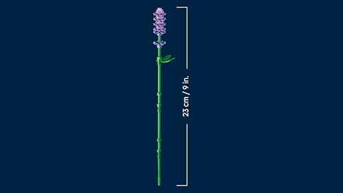 Thumbnail 7 de LEGO Botanicals Marguerites – Bouquet de Fleurs Artificielles (11508) pour 9 ans et plus