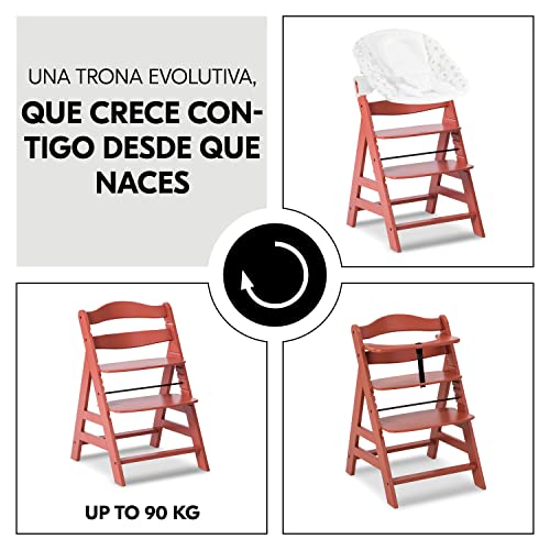 Thumbnail 3 de hauck Alpha Plus Trona evolutiva madera de haya 90 kg