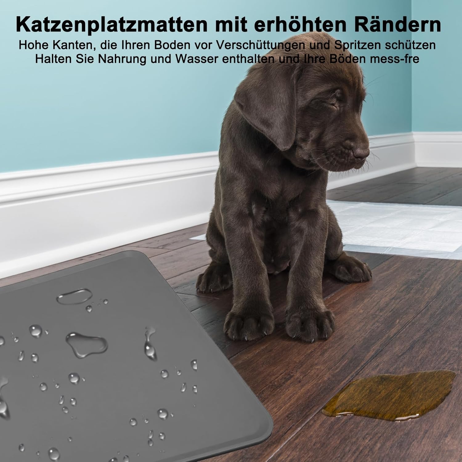 Thumbnail 2 de Silikon wasserdichte Futter- und Wassermatte für Hund und Katze (55 x 38 cm) – anti-rutsch, mit Rand