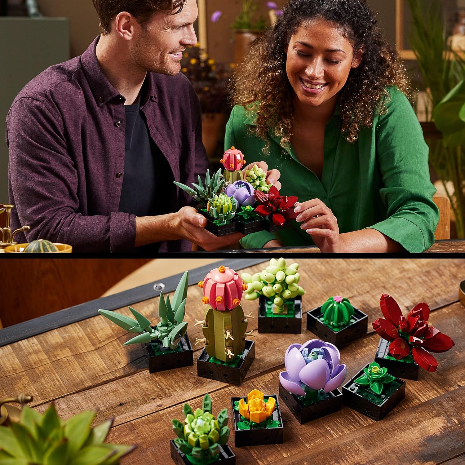 Thumbnail 6 de LEGO Botanicals Succulents 10309 – Build 9 Small Artificial Plants