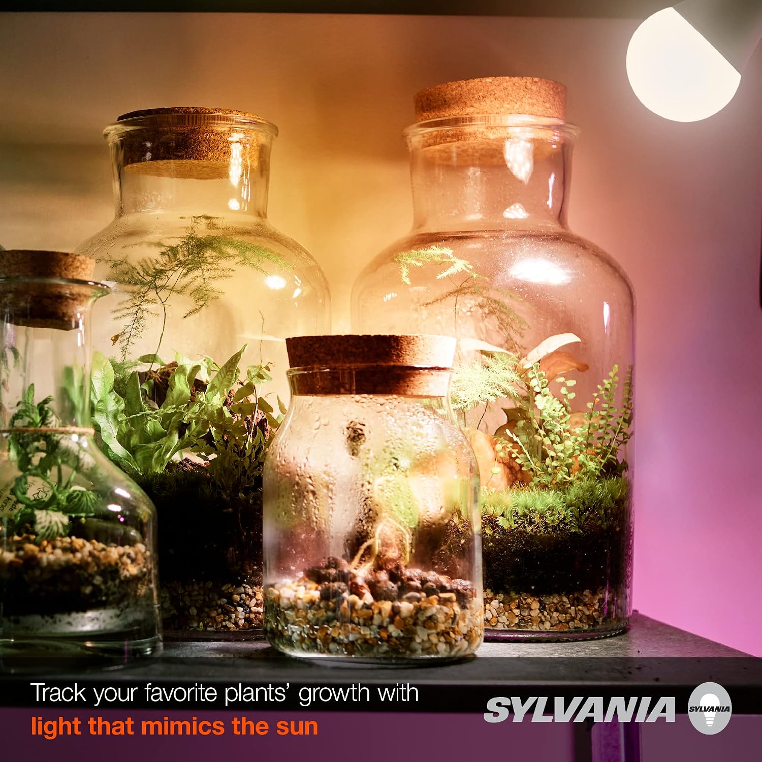 Thumbnail 4 de SYLVANIA 40023 A21 LED Grow Lamp, Frosted Finish, E26 Base