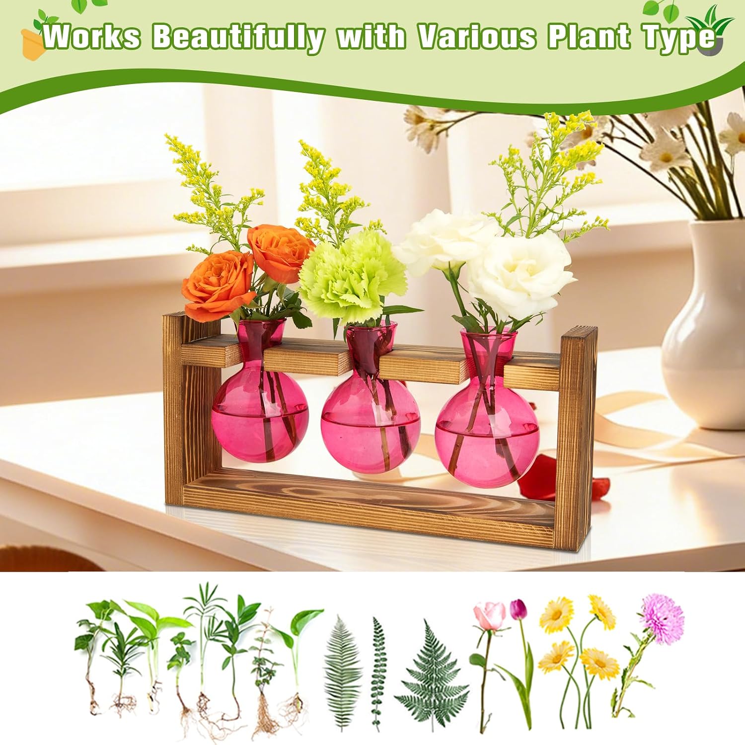 Detalle de XXXFLOWER Plant Propagation Station, Pink