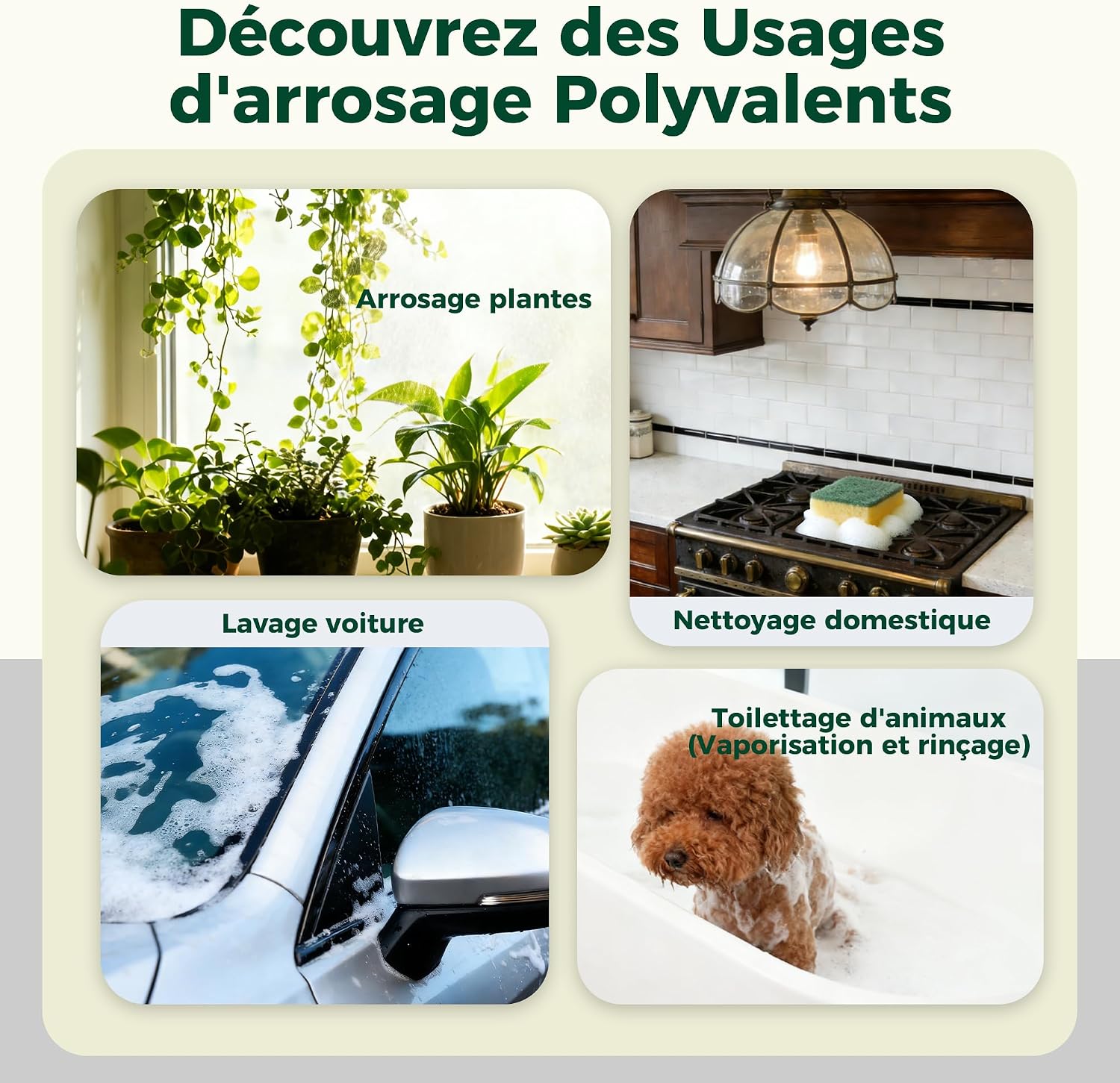 Thumbnail 6 de Diivoo Pulvérisateur Électrique 2L — 3 Vitesses & 2 Modes (Brouillard et Jet) + Réservoir Transparent