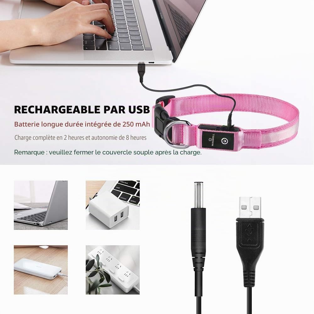 Detalle de MASBRILL Collier Lumineux pour Chien Rechargeable – LED Waterproof, 3 Modes, Taille M