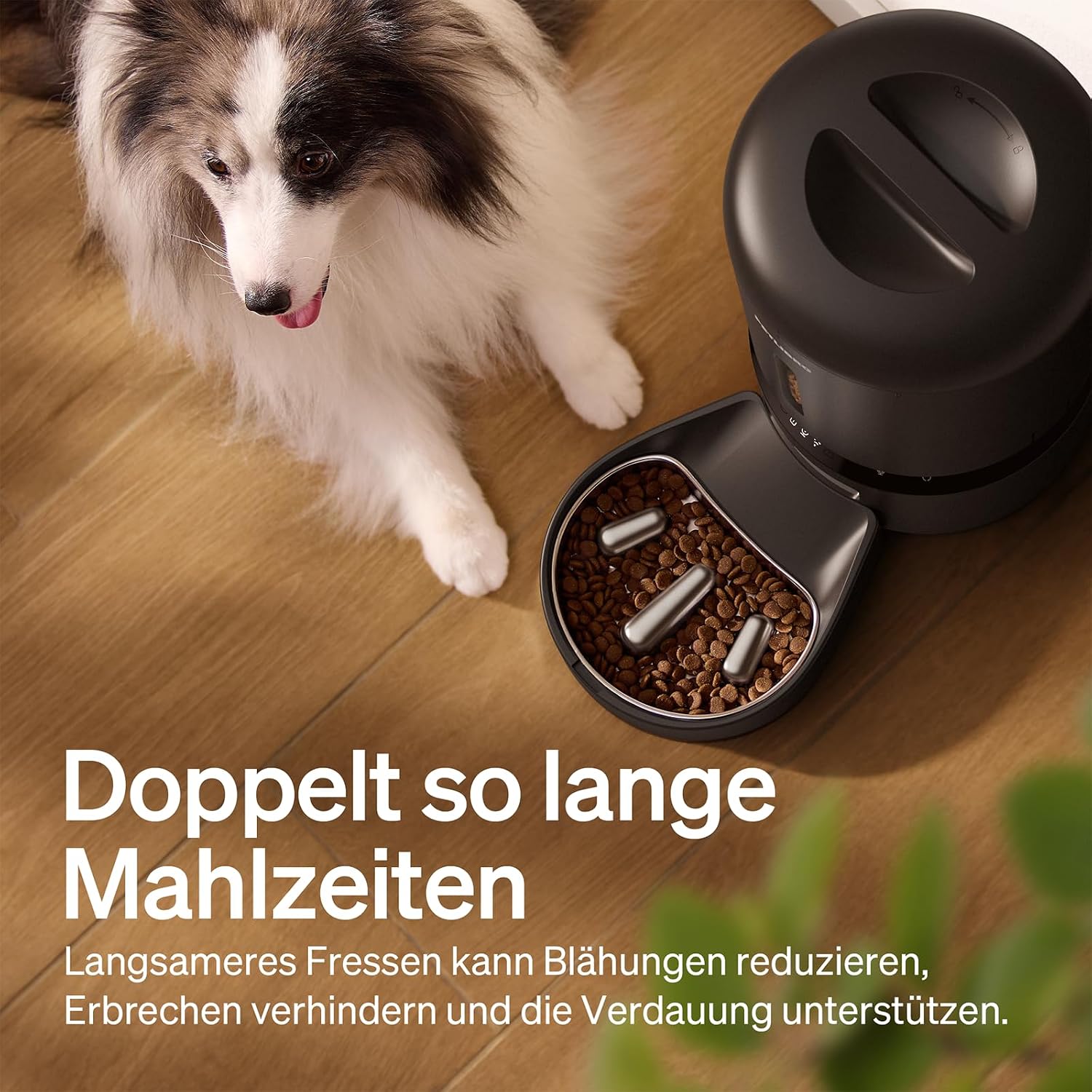 Detalle de PETLIBRO Futterautomat Katze mit Kamera – 1080P, langsamer Edelstahl-Schüssel, 1–10 Mahlzeiten, 5G WLAN, Nachtansicht