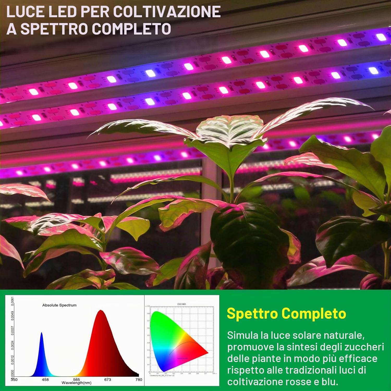 Detalle 2 de Lampada per Piante Luci di crescita impermeabili 120 LED USB con timer e spegnimento automatico – Rosa/Blu, 6.56FT