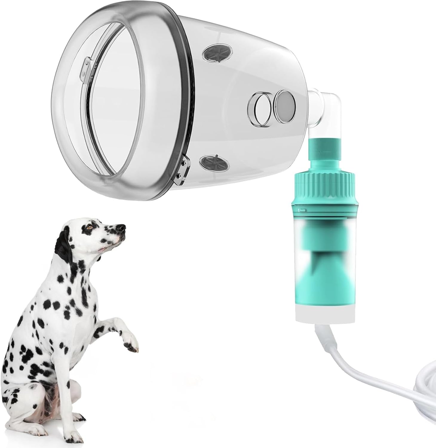 Thumbnail 5 de Pet Matching Cup and Face Mask Set, Green