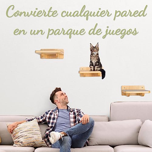 Thumbnail 5 de WOOWOOD Mur dâescalade pour chat XL, 3 escaliers đ