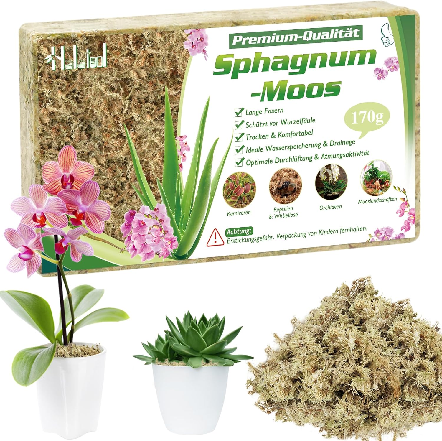 Detalle de Halatoo Sphagnum Moos 170 g für Orchideen und Pflanzen