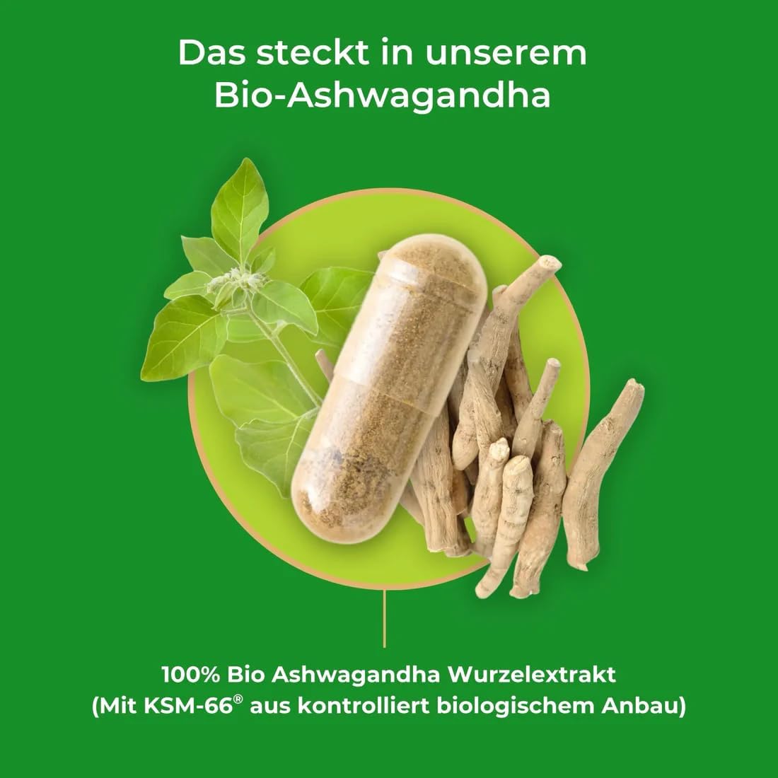 Detalle 2 de Bio Ashwagandha Kapseln 1er Pack — Ashwagandha