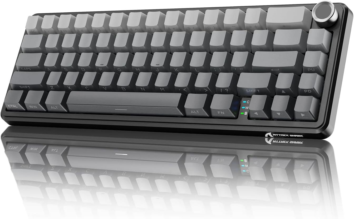 Detalle de Mambasnake X Attack Shark X66 tastiera 65%