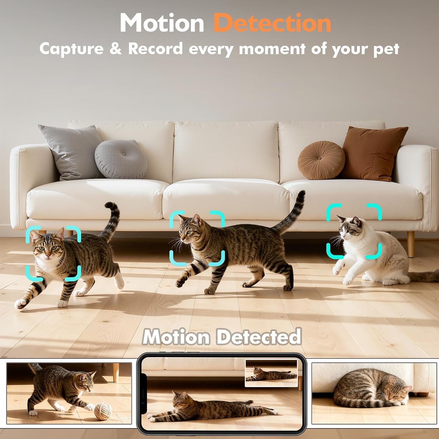 Thumbnail 4 de PETLIV Automatic Cat Feeder 5L with 2K Camera