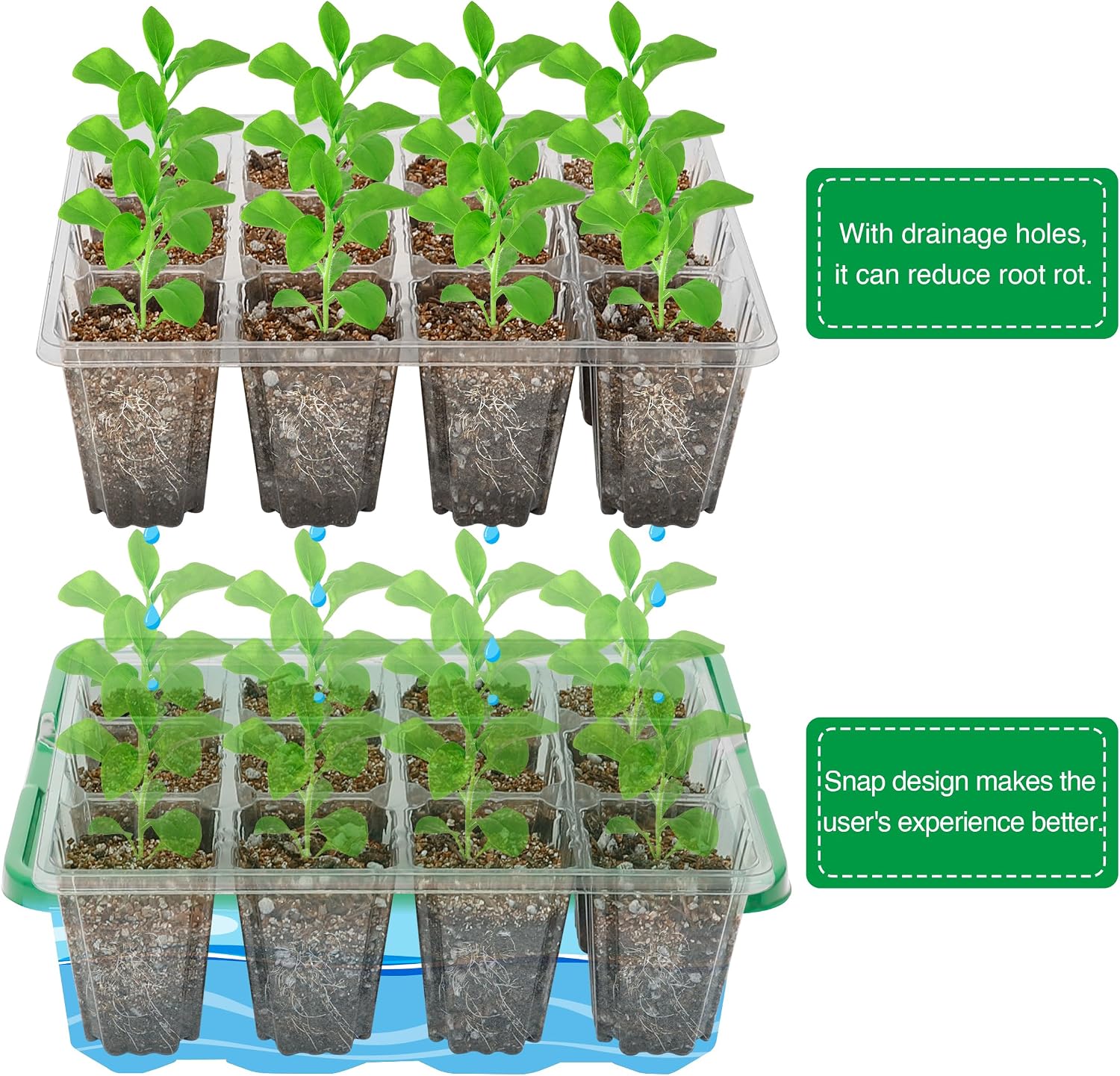 Thumbnail 3 de MIXC Seed Trays with Grow Light – 5 Pack Propagation Kit for Indoor Plants