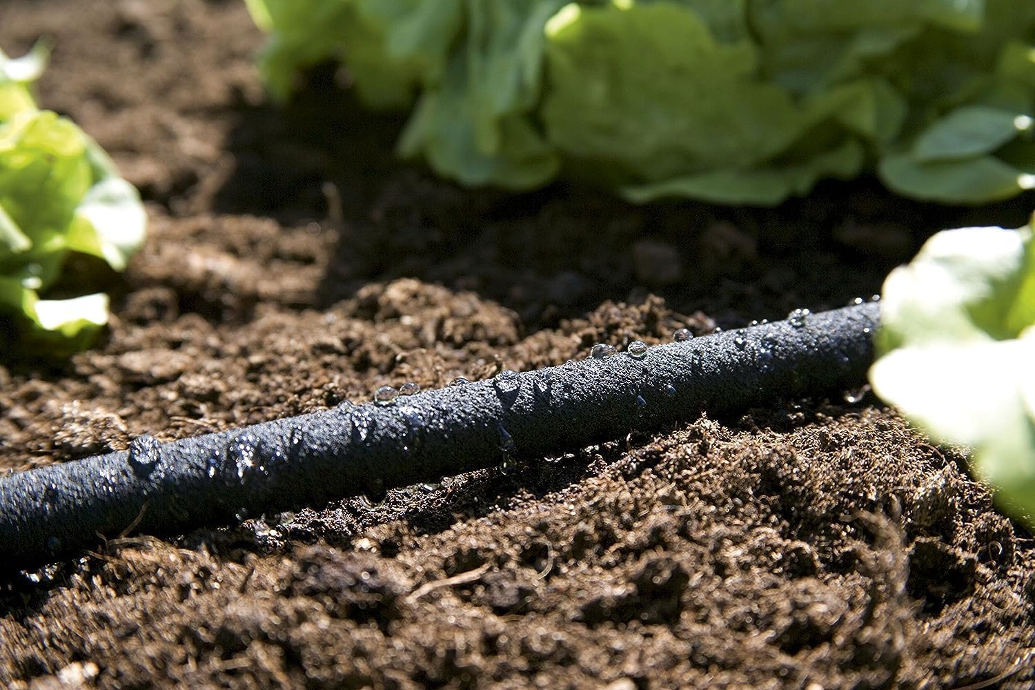 Thumbnail 4 de Gardena Perl-Regner: Wassersparender Schlauchregner für Beete und Reihen