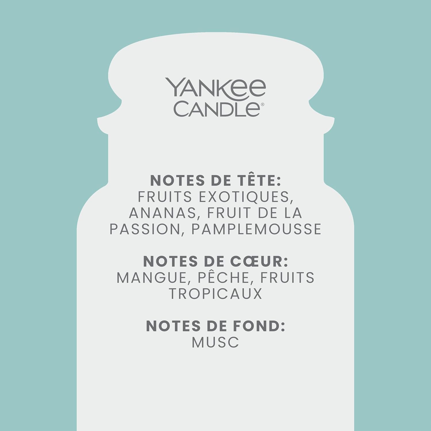 Thumbnail 2 de Bougie parfumée Yankee Candle | Grand pot Bahama Breeze – 150 h, parfum tropical