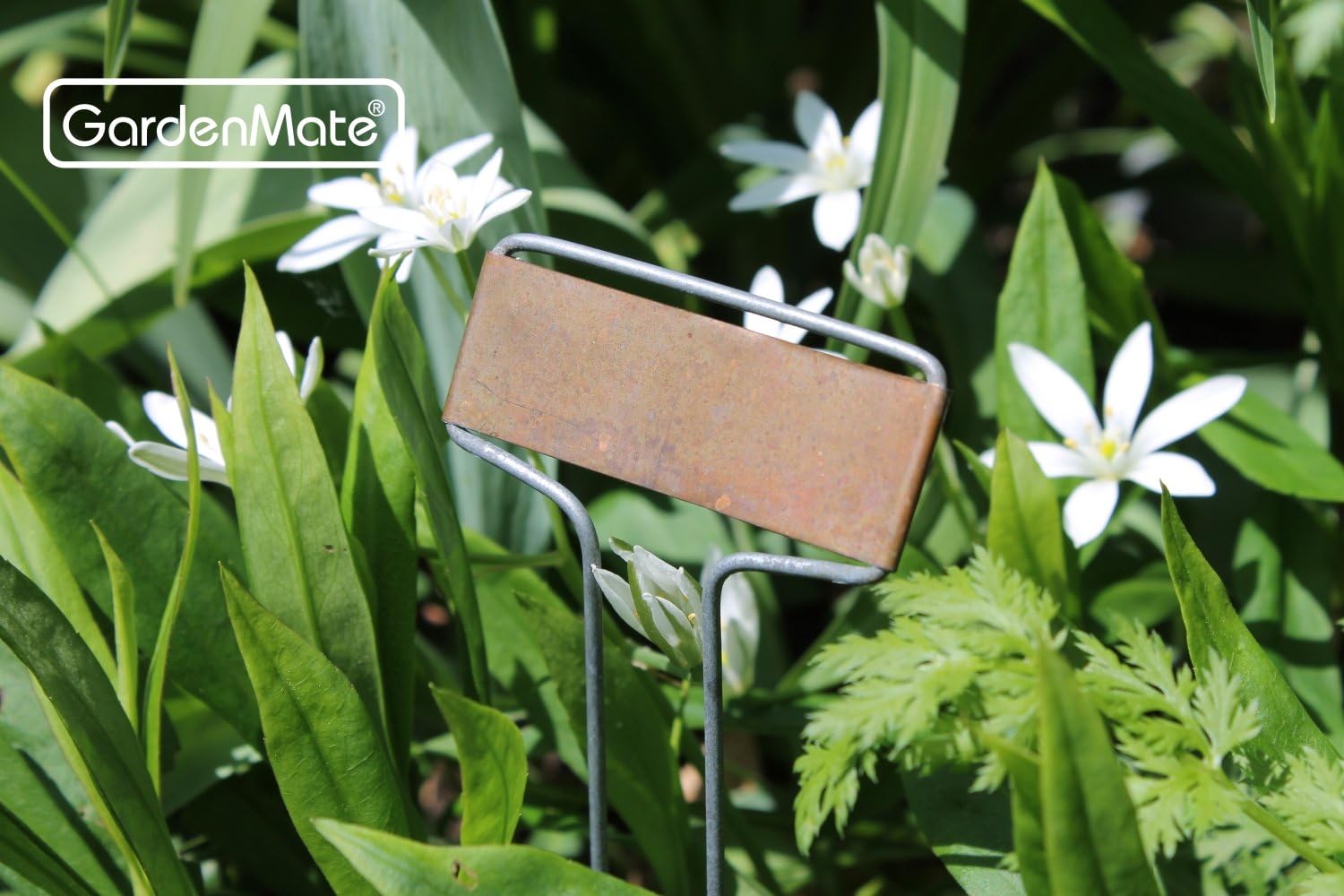 Detalle de GardenMate Set di 25 Banner Etichette per Piante in Acciaio zincato e rame