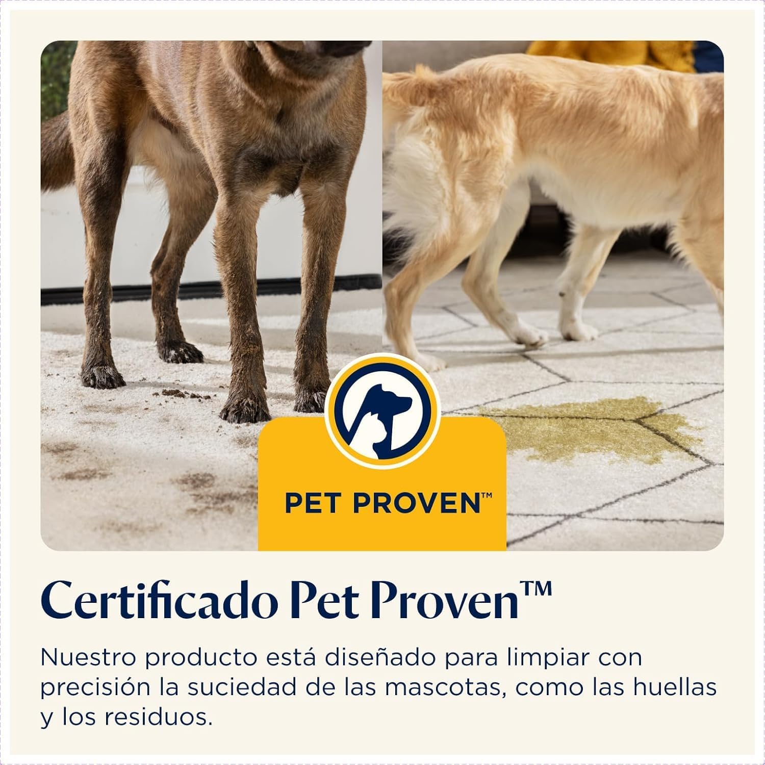 Thumbnail 6 de BISSELL SpotClean Pet Pro 🐾, Aspiradora para Mascotas y Tapicería