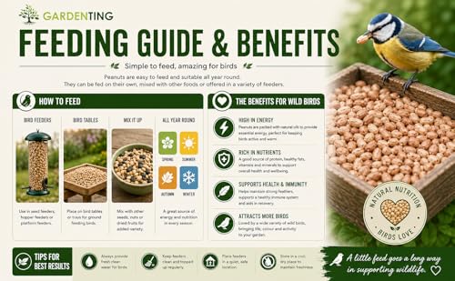 Detalle 2 de Garden Ting Premium Peanut Kernels Wild Bird Food, 3 Litre