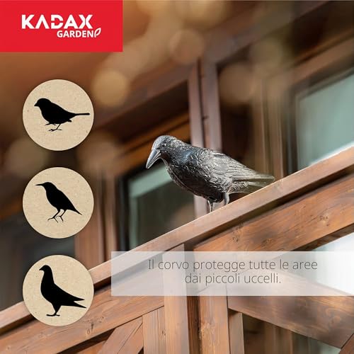 Detalle de KADAX Set di 2 Corvi Scaccia Piccioni – Deterrenti in Plastica per Balcone e Giardino