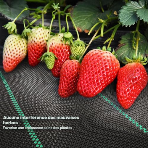 Detalle de OUNUO Toile de Paillage Géotextile 2 m x 25 m – 90 g/m², Antimauvaises Herbes, résistant UV et perméable