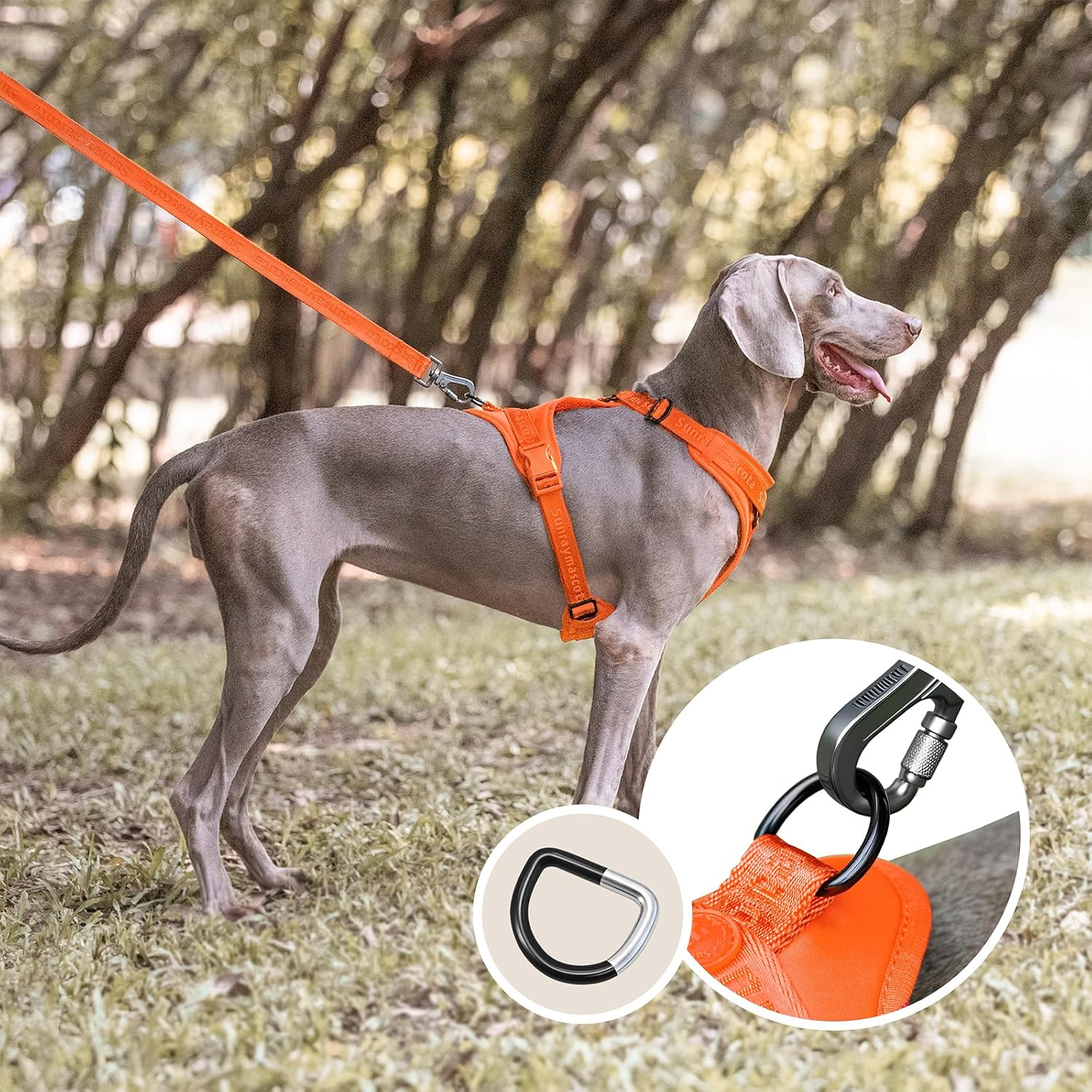 Detalle de Sunraymascota Pettorina per cani con imbottitura in lycra – traspirante, regolabile e sicura