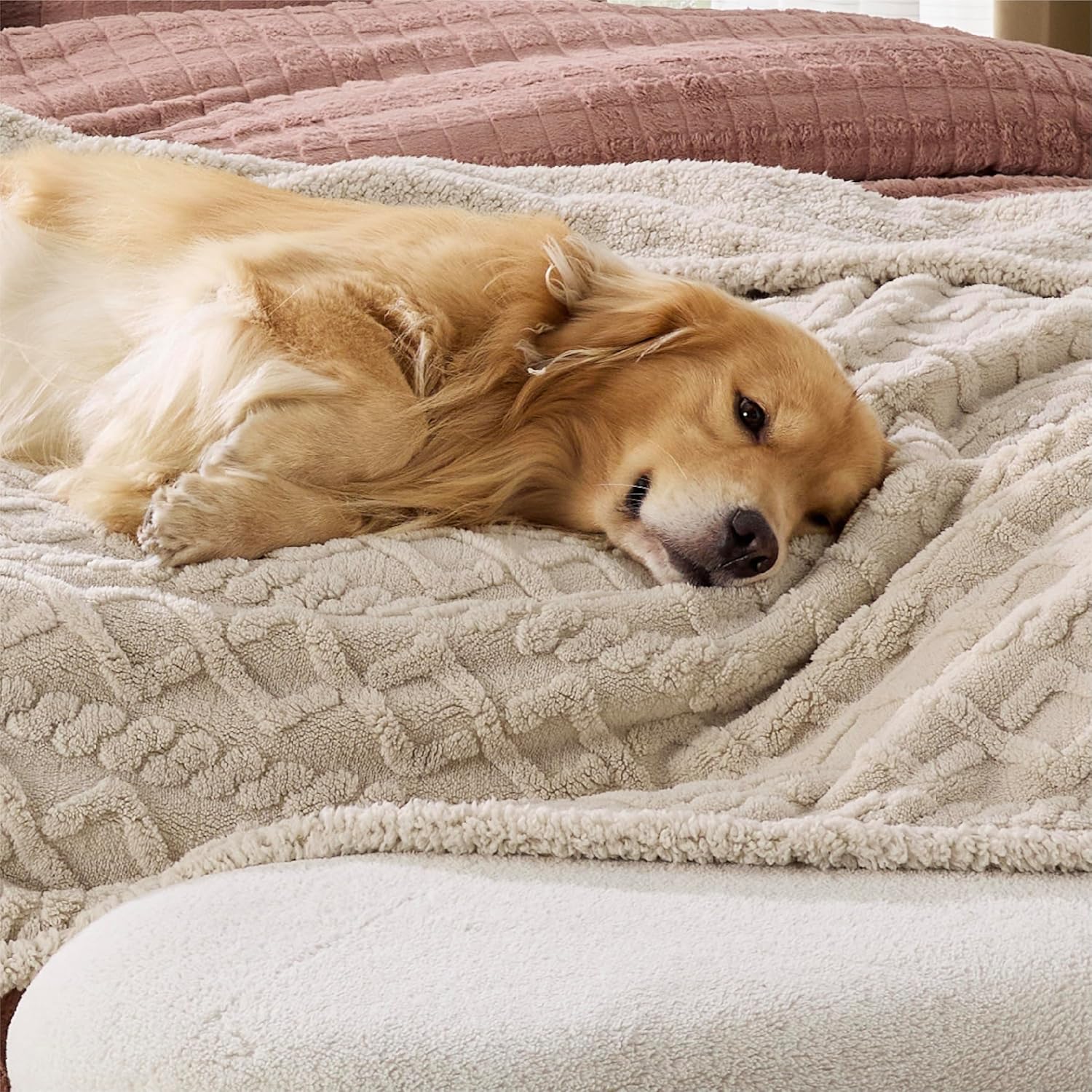 Thumbnail 4 de LE SURE Washable Dog Blanket Twin (152x203cm) Waterproof Cream – Bed, Sofa & Couch Throw Protector