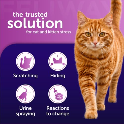 Detalle 2 de Feliway Classic 30 Day Cat Calming Diffuser Starter Kit (48ml)
