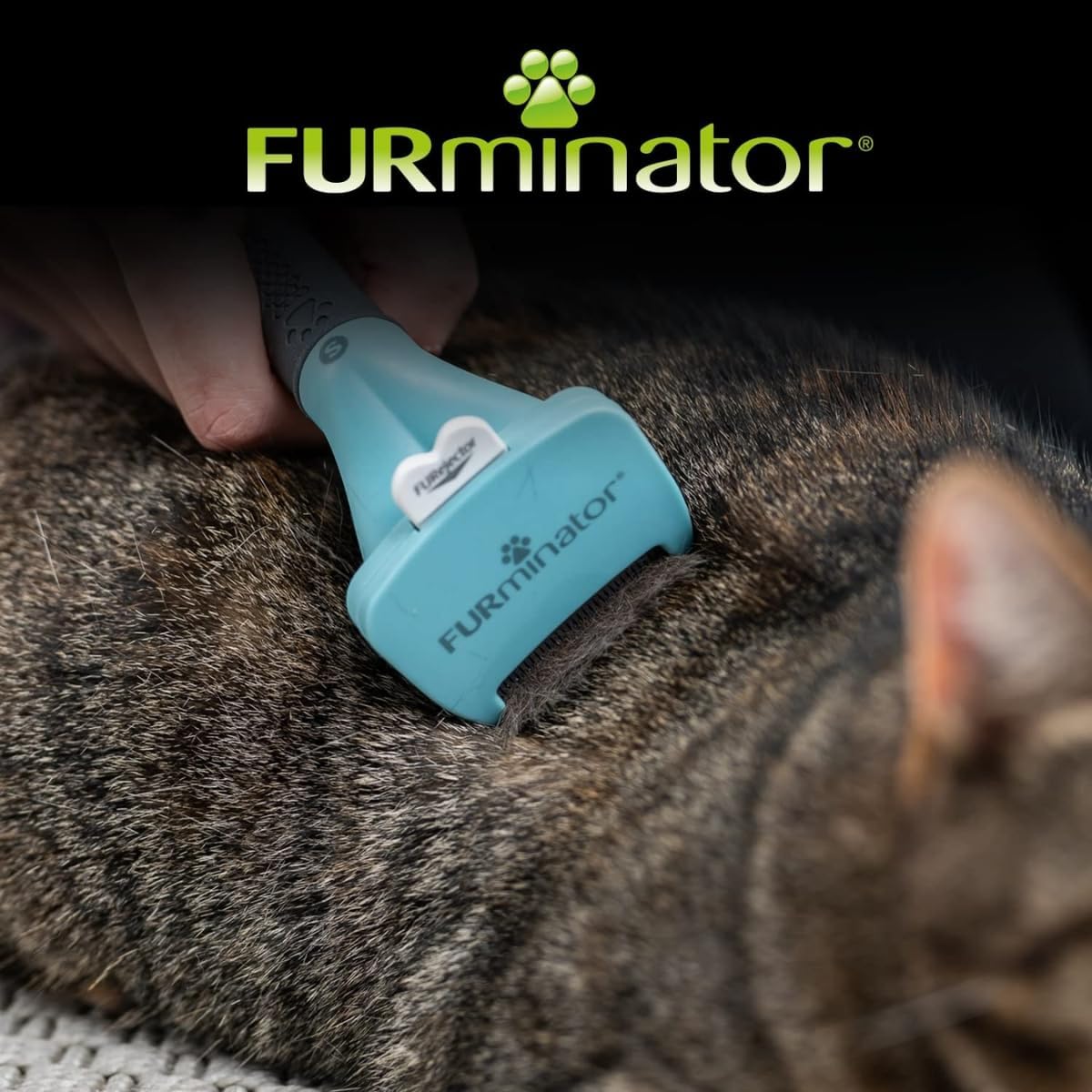Detalle de FURminator Outil Undercoat deShedding Chat S poils courts