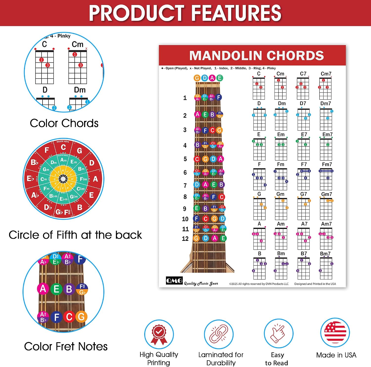 Detalle de QMG Mandolin Chord Chart, Laminated