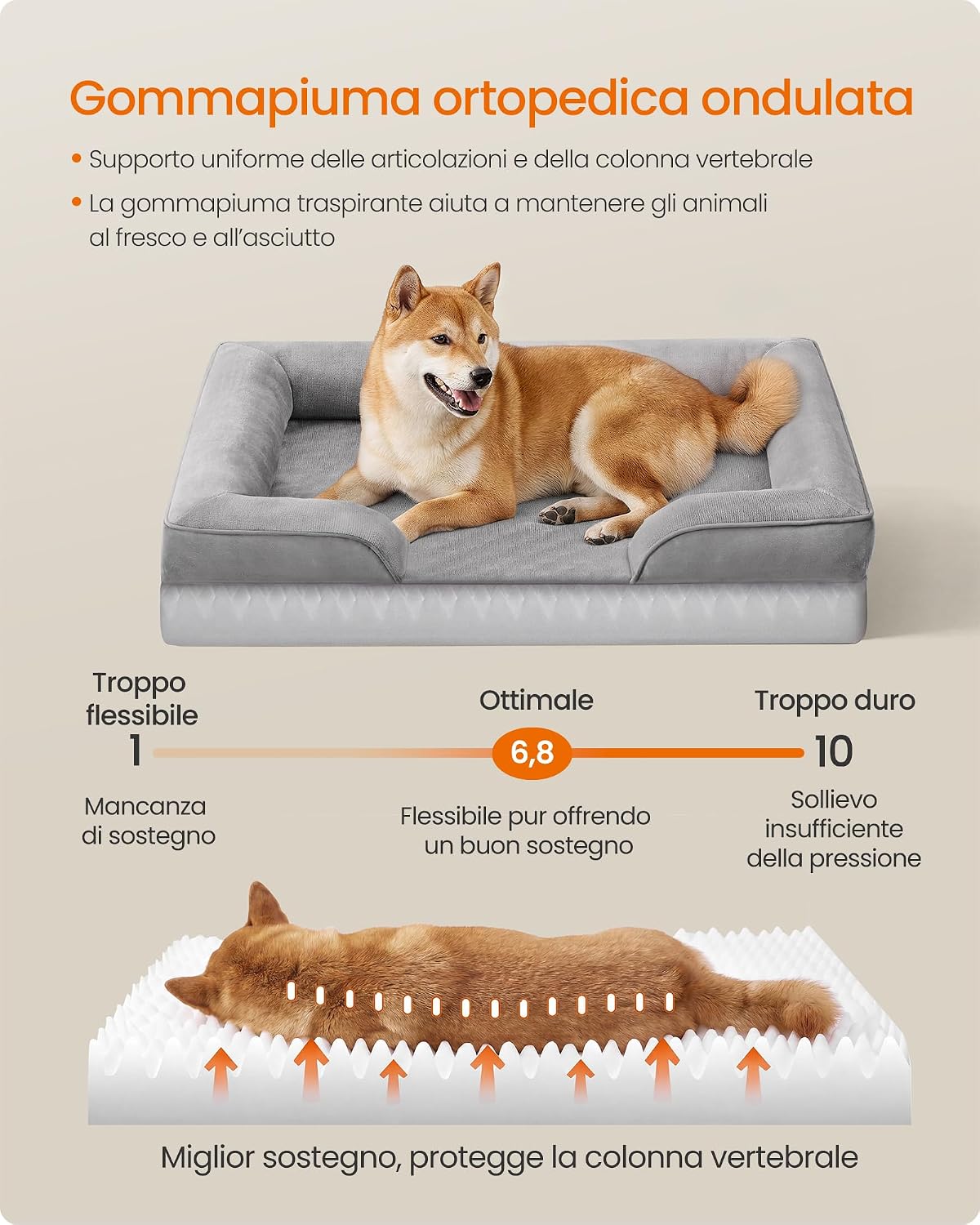 Detalle de Feandrea Cuccia Ortopedica per Cani M – Letto con bordi rialzati e imbottitura in gommapiuma