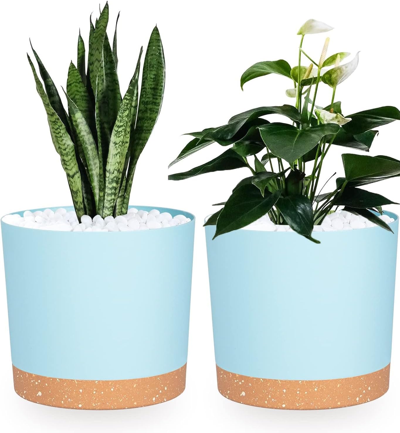 QCQHDU 16.5cm Plant Pot (2 Pack) with Drainage Holes & Saucer – LightBlue