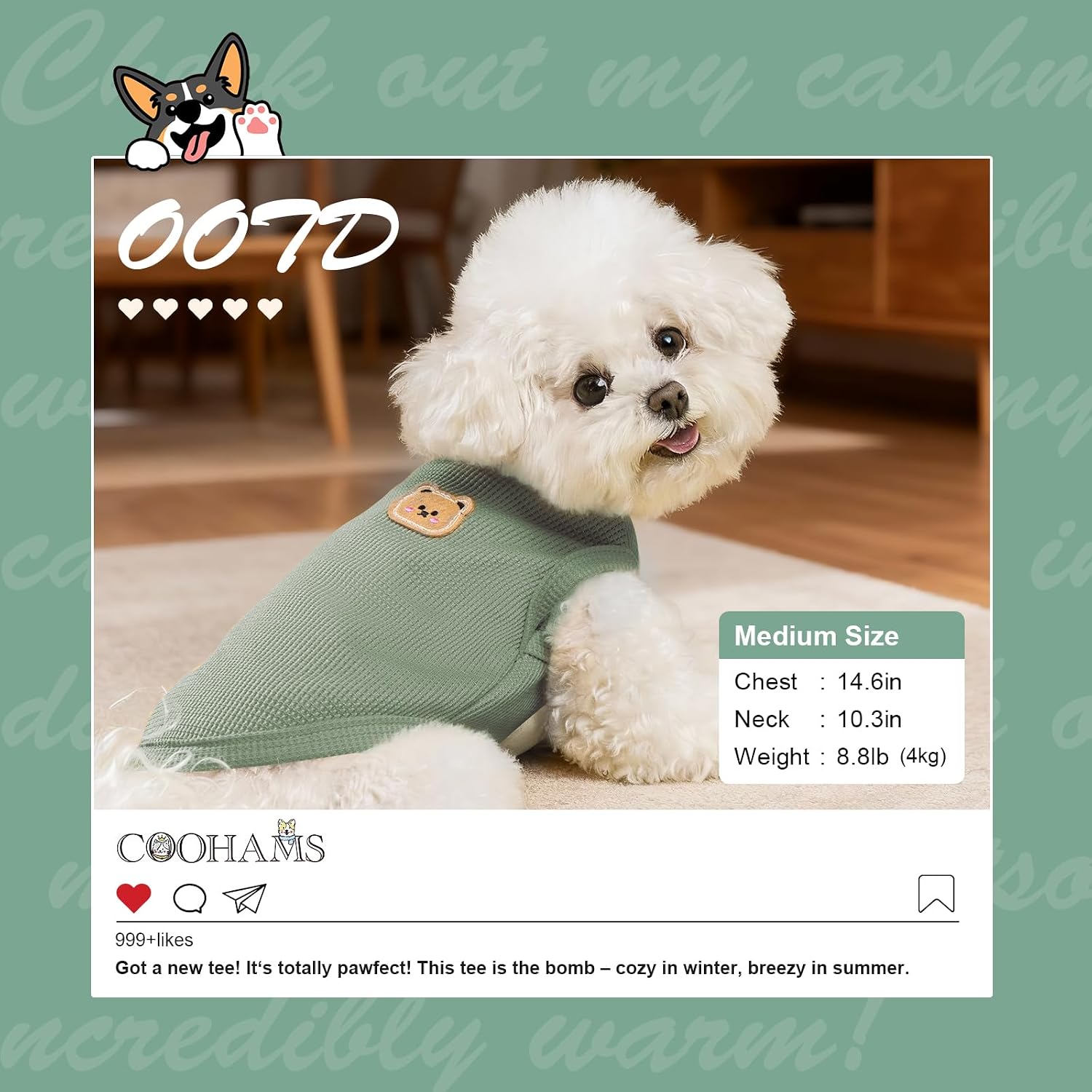 Detalle 2 de COOHAMS dog tank top, Large