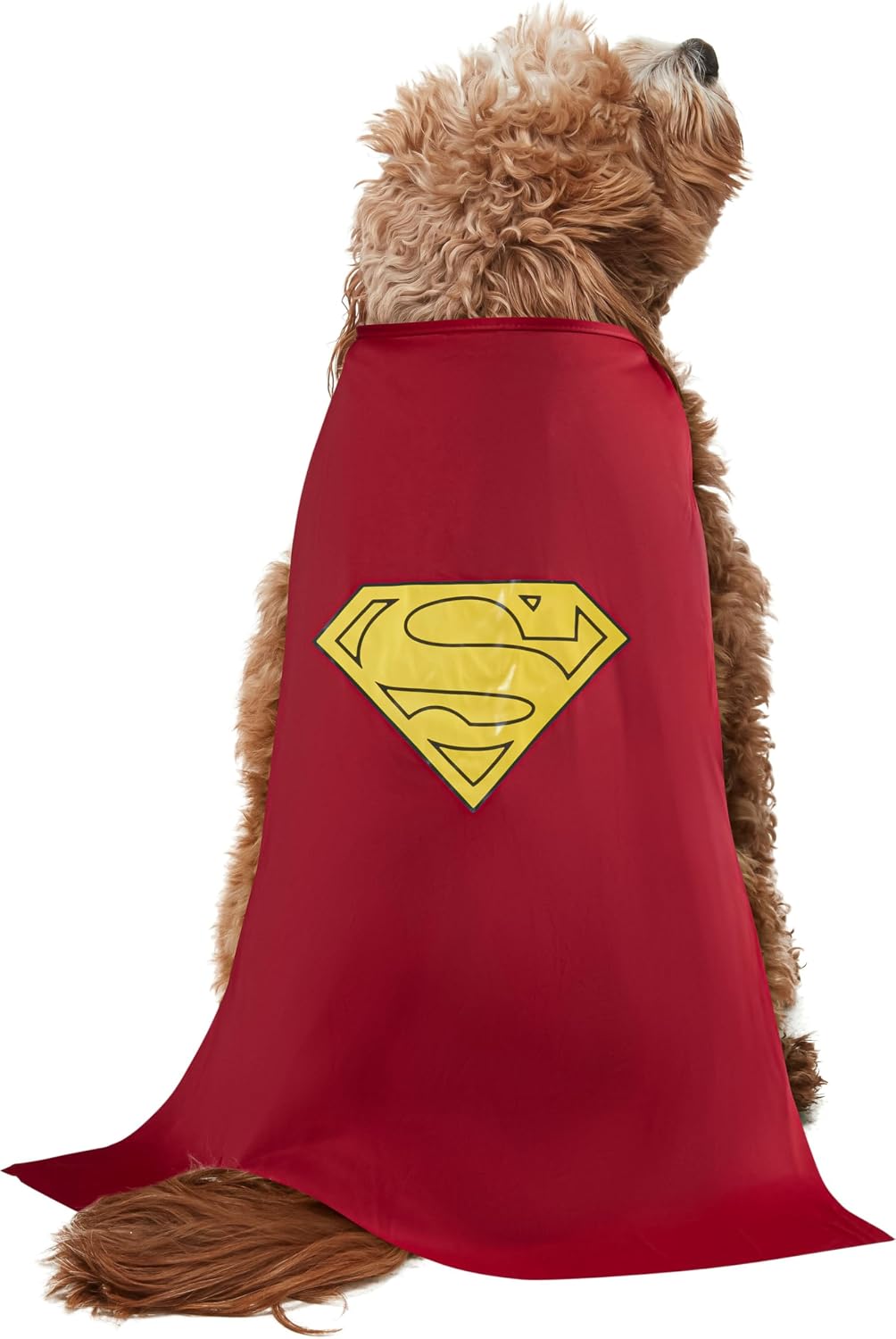Thumbnail 1 de Rubies Superman pet costume Medium