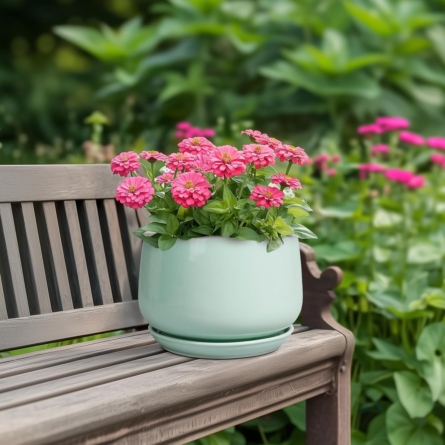 Detalle de G EPGardening ceramic planter, 7-inch