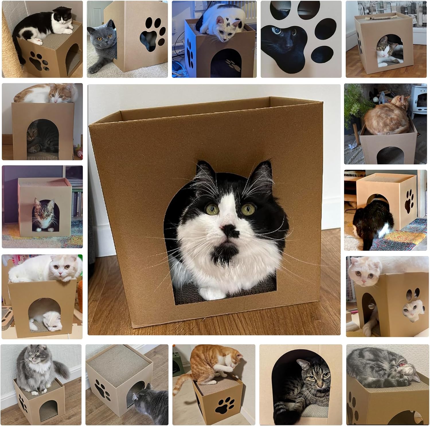 Thumbnail 5 de Cat Cardboard Scratcher: House with Scratch Pads for Indoor Cats and Small Pets