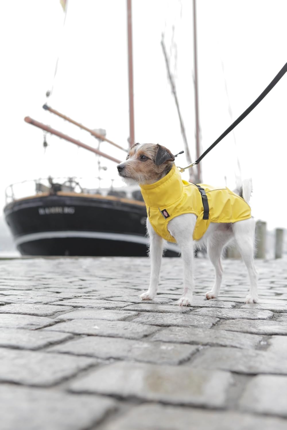 Thumbnail 6 de TRIXIE Regenmantel Vimy für Hunde gelb, XL (Bauchumfang 80–105 cm) – wasserdichte Regenjacke mit Reflexion