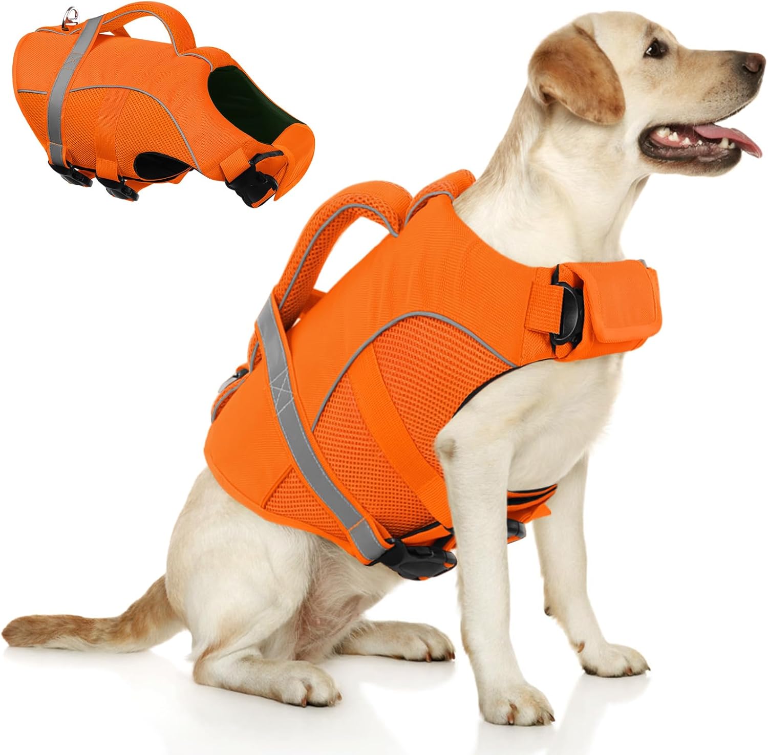 Detalle de Queenmore Giubbotto Salvagente Cane con Maniglia di Salvataggio – Taglie XS–2XL, Arancione, per Bassotto, Bulldog Francese, Staffordshire Terrier