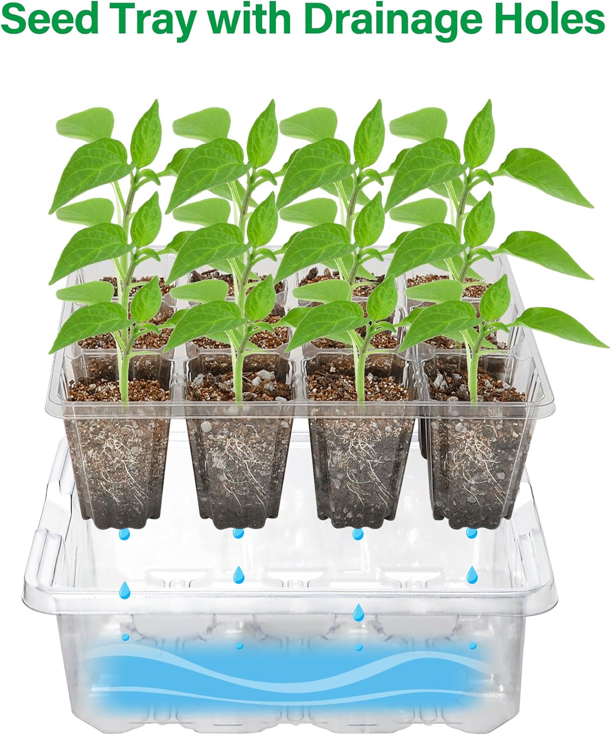 Detalle de Bonviee No1 Seed Starter Trays, 60 Cells, 12-LED Grow Lights, Clear 5-Pack
