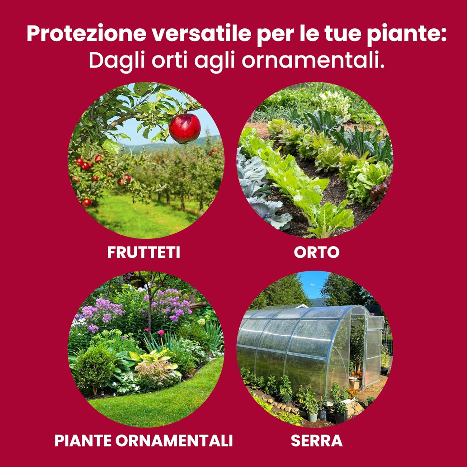 Thumbnail 4 de LERAVA Bacillus Thuringiensis Kurstaki (100 g): insetticida biologico per piante, protezione da bruchi e cavolaia