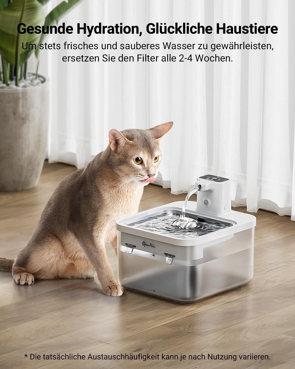 Thumbnail 4 de DownyPaws Katzenbrunnen Ersatzfilter 6er Set DPWFP6
