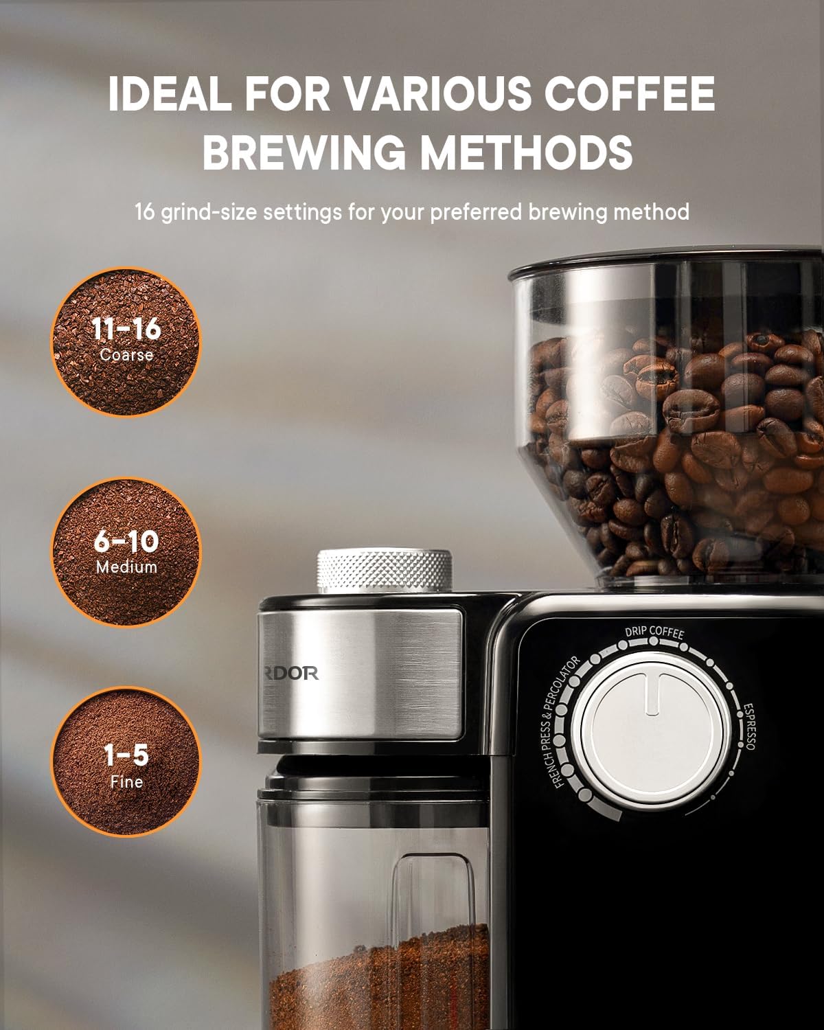 Detalle de SHARDOR Electric Burr Grinder 14-Cup