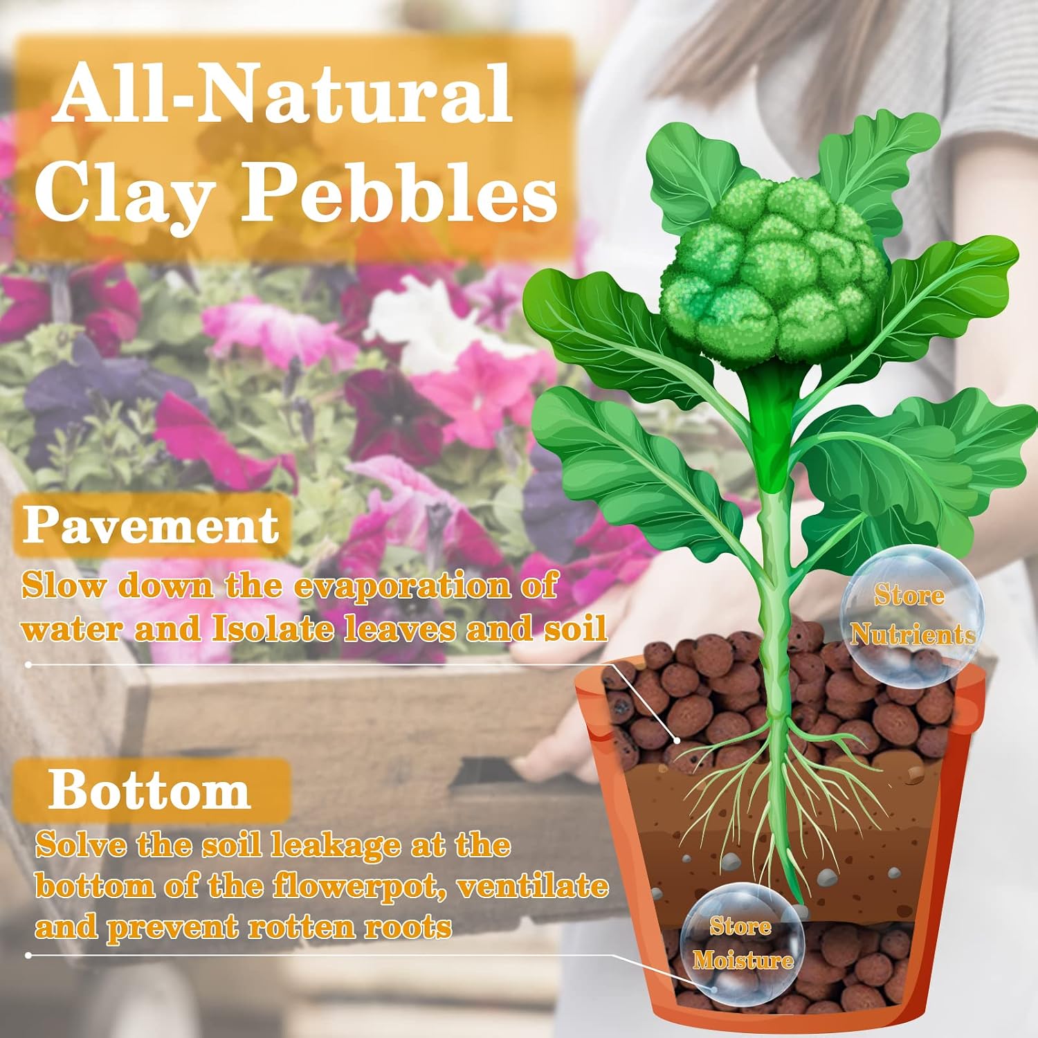 Detalle de Legigo L-CA-Clay Ball LECA Clay Pebbles, 10 lb, 4–16 mm