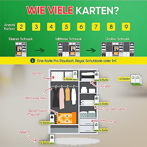 Detalle de anwerk Schlupfwespen gegen Kleidermotten – 12 Karten, 1 Lieferung
