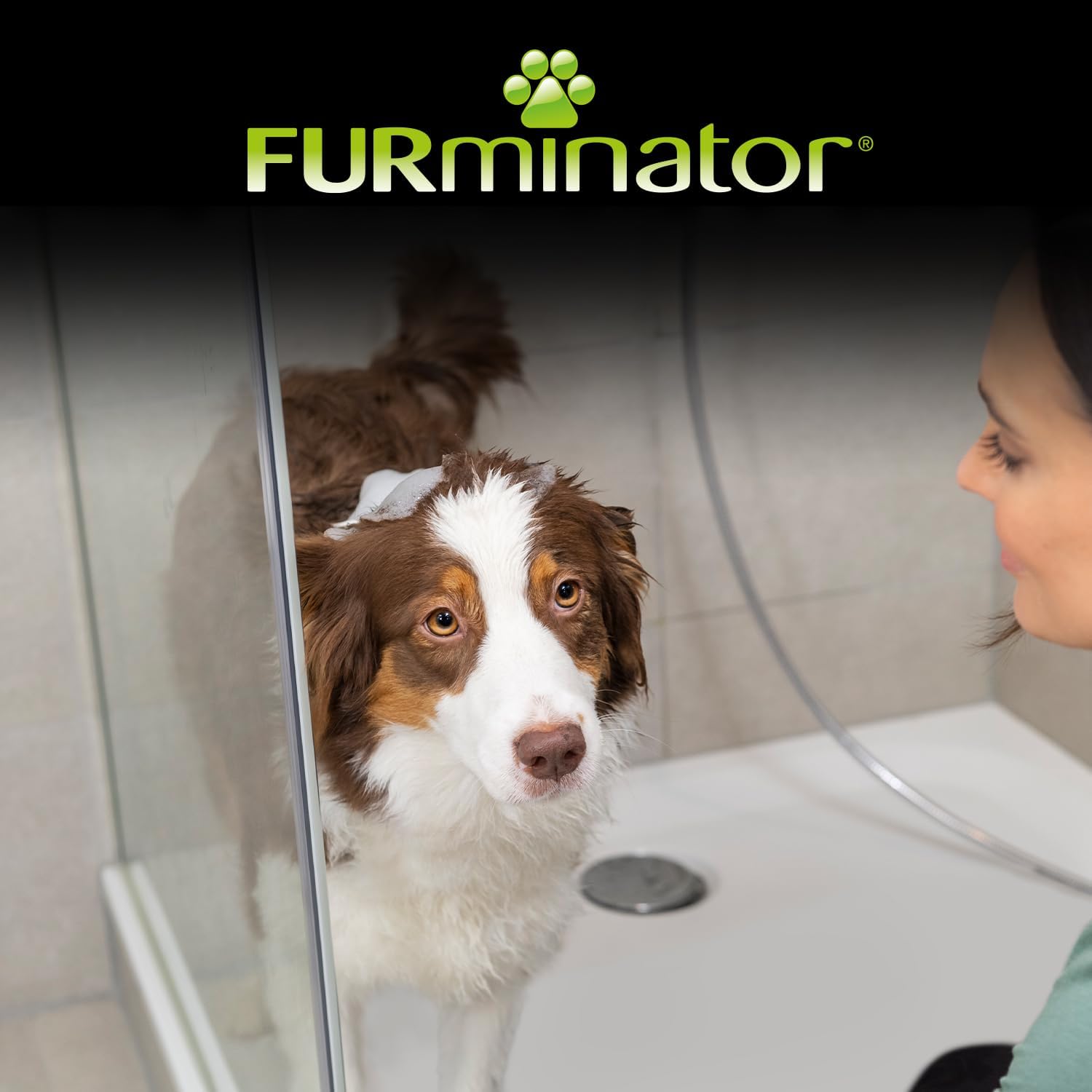 Thumbnail 6 de FURminator deShedding Hunde-Shampoo – Premium Shampoo für Hunde, 473 ml
