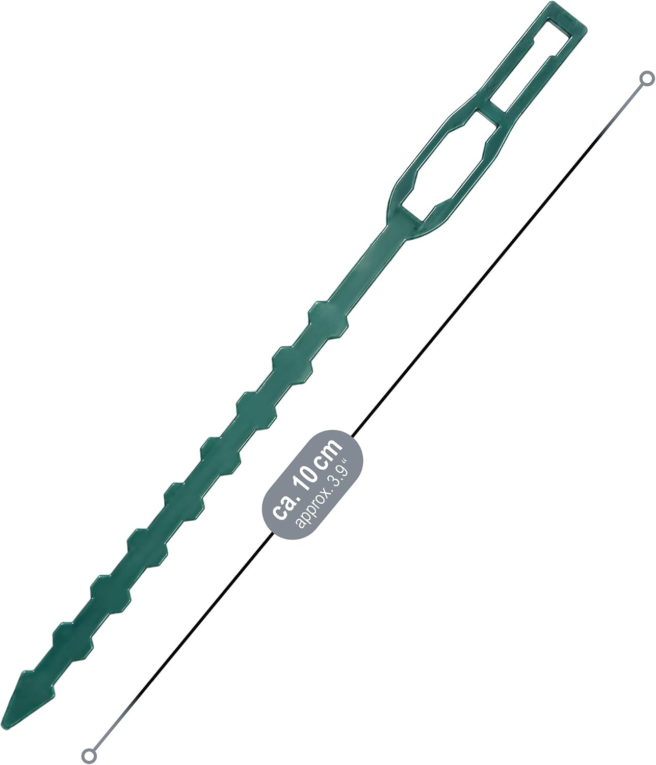 Thumbnail 3 de COM-FOUR® 200x: Raccoglitore per piante verde, 10 cm – 200 fascette riutilizzabili