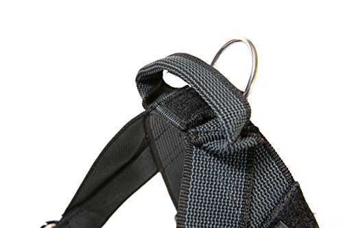 Detalle 2 de Julius-K9 Arnés para perro M, negro-gris 🐕
