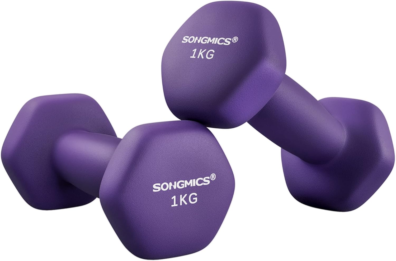 Lot de 2 haltères hexagonaux SONGMICS en néoprène